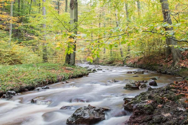 Ilsetal Dalen Hösten Nära Ilsenburg Sachsen Anhalt Tyskland Europa — Stockfoto