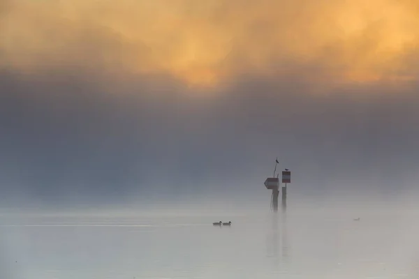 Sea Markers Project Fog Untersee Larke Dawn Radolfzell Baden Wrttemberg — Stock Photo, Image