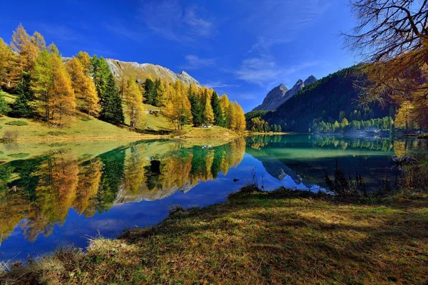 Sun Autumnally Coloured Larch Trees Reflected Lake — Stock Photo, Image