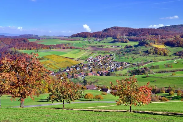 Paesaggio Autunnale Fronte Ciliegi Nei Colori Autunnali Inverno Canton Basilea — Foto Stock