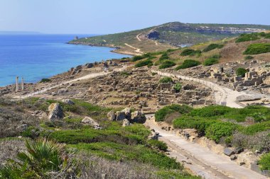 Excavations of the ancient city Tharros, Sinis Peninsula, Oristano, Sardinia, Italy Province, Europe clipart