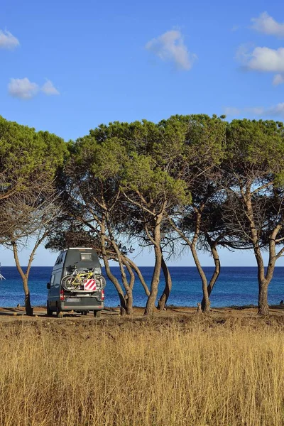 Camper Tra Pini Sulla Spiaggia Costa Rei Cagliari Sardegna Italia — Foto Stock