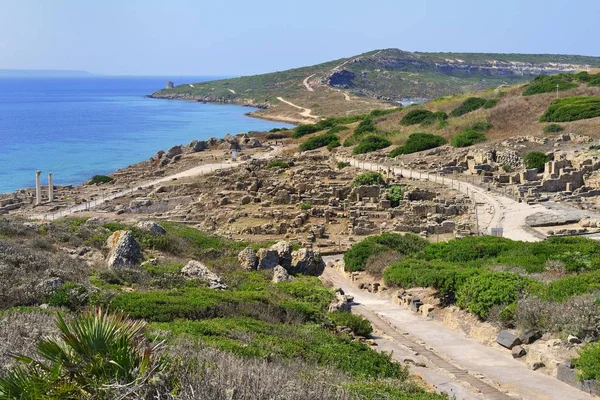 Scavi Dell Antica Città Tharros Penisola Del Sinis Oristano Sardegna — Foto Stock