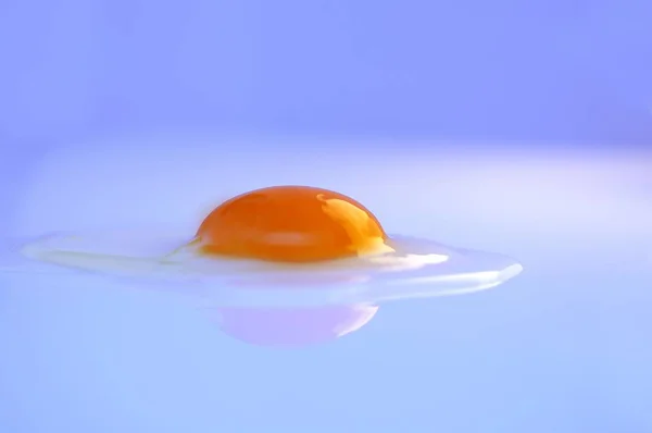 Huevo Crudo Vista Cerca — Foto de Stock