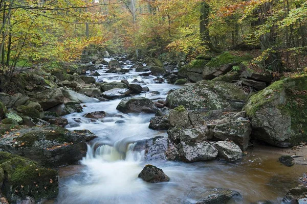 Река Ильзе Осень Национальный Парк Гарц Ильзенбург Саксония Анхальт Германия — стоковое фото