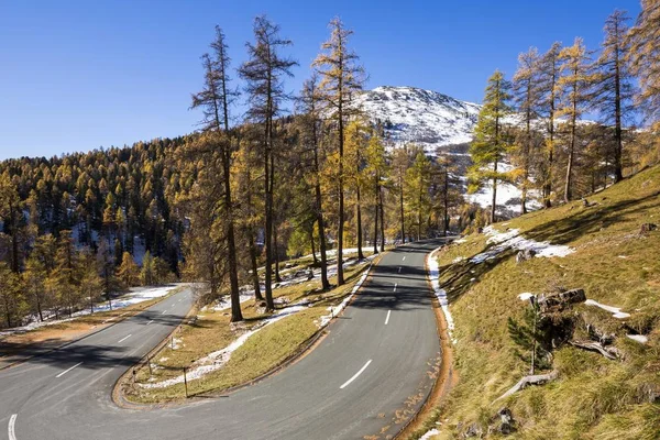 瑞士格劳本登州Engadin Albula通过公路的风景 — 图库照片