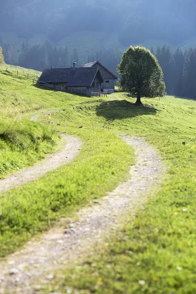 Gross Euchst Alm Kronberg Alpstein Appenzell Svizzera Europa — Foto Stock