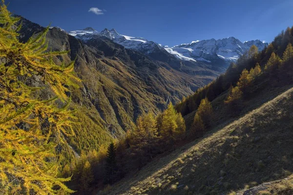 Outono Parque Nacional Gran Paradiso Valnontey Piemonte Itália Europa — Fotografia de Stock