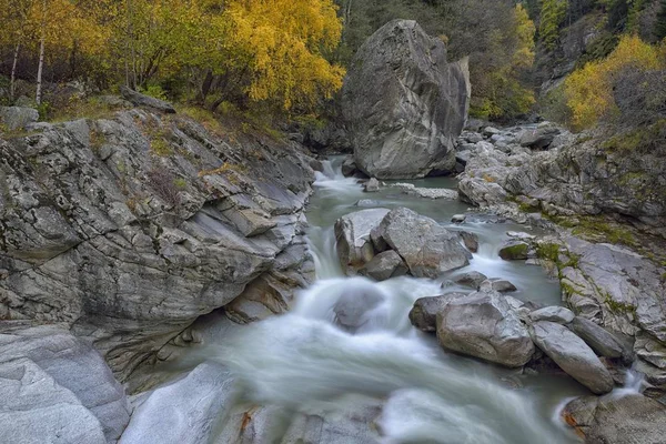秋のグランドアイヴィア グラン パラディソ国立公園 ヴァル コーニュ ピエモンテ州 イタリア ヨーロッパ — ストック写真