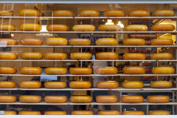 Cheese wheels in a shop, Delft, Holland, The Netherlands, Europe