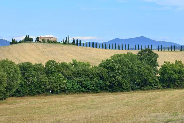 Casa Campo Con Cipreses Val Orcia Provincia Siena Toscana Italia — Foto de Stock