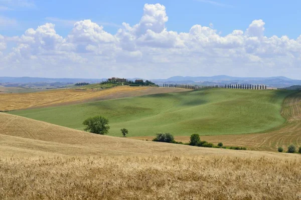 Heuvellandschap Met Korenvelden Een Boerderij Buurt Van Murlo Siena Toscane — Stockfoto