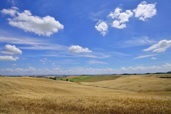 Hilly Landscape Cornfields White Clouds Sky Murlo Province Siena Tuscany — Stock Photo, Image