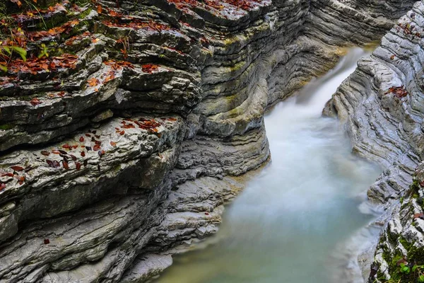 Taugl Stream Washouts Rock Layers Autumn Tauglschlucht District Hallein Salzburg —  Fotos de Stock