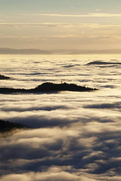 雲のレベルの上の森 Feldbergからの眺め ブラックフォレスト バーデン ヴュルテンベルク州 ドイツ ヨーロッパ — ストック写真