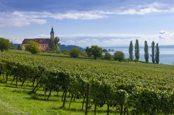 Vineyards Lake Constance Birnau Pilgrimage Church Birnau Baden Wrttemberg Germany — 스톡 사진