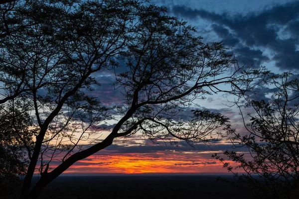 Dawn African Savannah Ghoha Hills Chobe National Park Botswana Africa — Stock Photo, Image