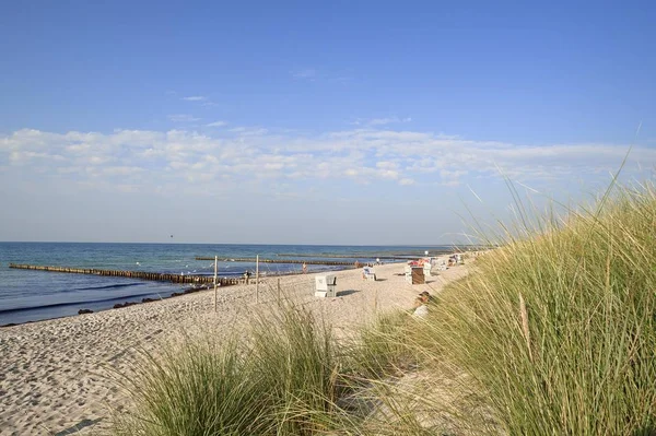 Plaża Bałtycka Krzesłami Plażowymi Ahrenshoop Meklemburgia Pomorze Przednie Niemcy Europa — Zdjęcie stockowe