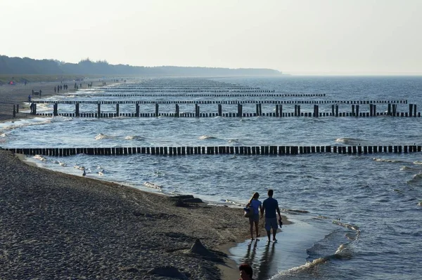 Spiaggia Del Mar Baltico Con Groynes Tempo Nebbioso Ahrenshoop Dar — Foto Stock