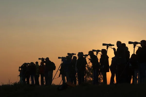 Pozorování Ptáků Siluety Lidí Dalekohledem Proti Večerní Obloze Zingst Dar — Stock fotografie