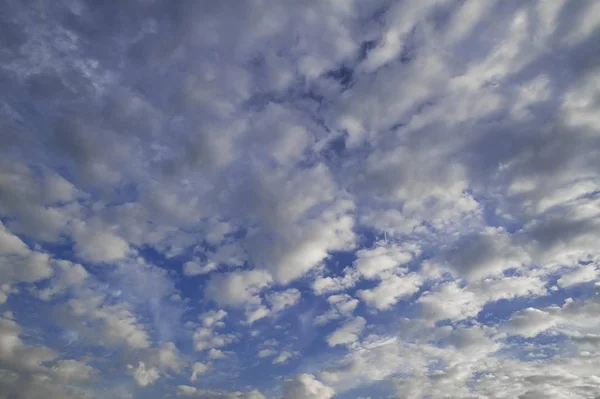 Kabarık Bulutlar Altokümülüs Bulutları — Stok fotoğraf