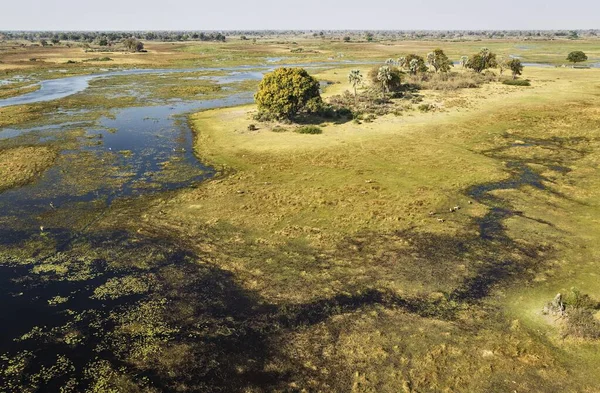 Rio Gomoti Com Seu Pantanal Água Doce Adjacente Com Lechwe — Fotografia de Stock