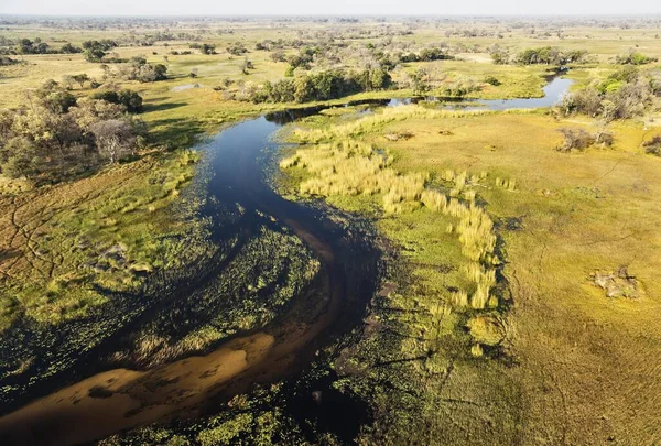 Rzeka Gomoti Przyległym Bagnem Słodkowodnym Widok Lotu Ptaka Okavango Delta — Zdjęcie stockowe