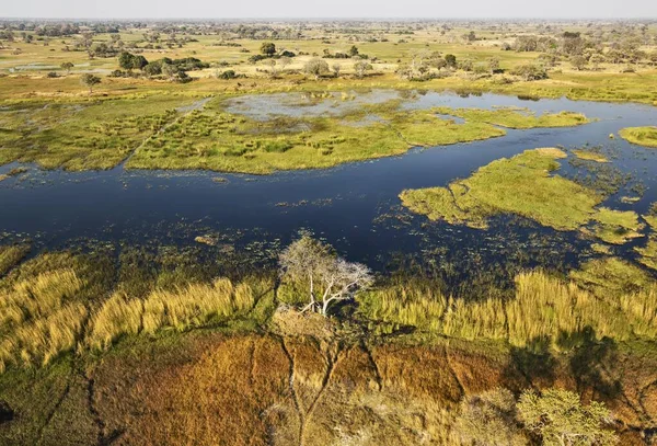 Řeka Gomoti Přilehlými Sladkovodními Mokřinami Letecký Výhled Delta Okavango Botswana — Stock fotografie