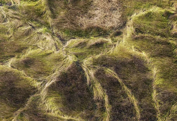 Pântano Pastoso Com Trilhas Para Animais Vista Aérea Delta Okavango — Fotografia de Stock