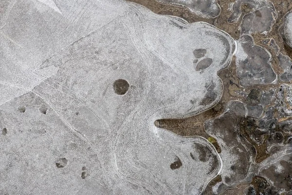 Ice Patterns Puddle Hesse Germany Europe — 스톡 사진