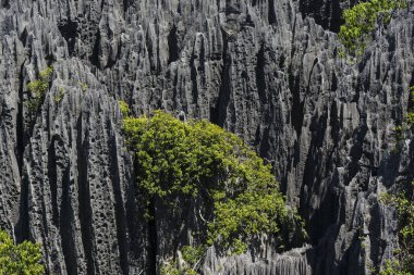 Karst Landscape, National Park Tsingy du Bemaraha, UNESCO World Heritage Site, Mahajanga, Madagascar, Africa clipart
