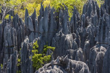 Karst Landscape, National Park Tsingy du Bemaraha, UNESCO World Heritage Site, Mahajanga, Madagascar, Africa clipart