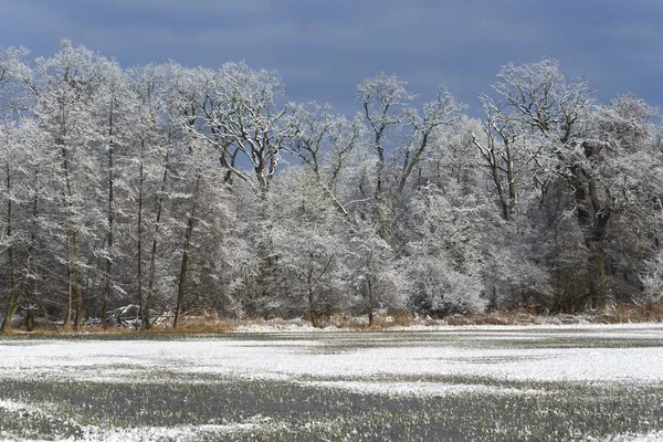 Зимний Пейзаж Природный Заповедник Мнхль Мнхль Валль Гессен Германия — стоковое фото