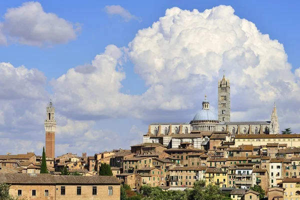 Centro Histórico Com Catedral Siena Cattedrale Santa Maria Assunta Torre — Fotografia de Stock