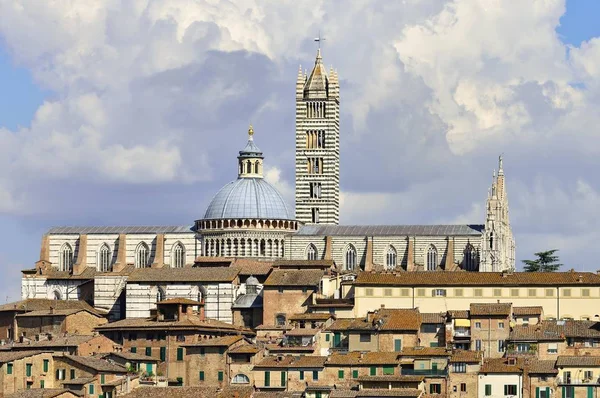 Historyczne Centrum Katedrą Sienie Cattedrale Santa Maria Assunta Siena Prowincja — Zdjęcie stockowe