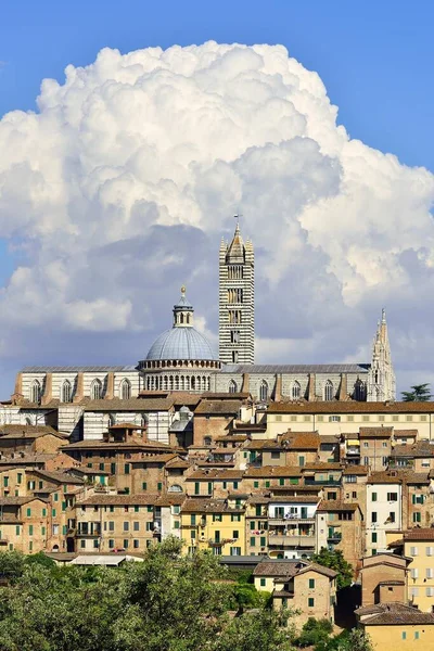 Centro Histórico Com Catedral Siena Cattedrale Santa Maria Assunta Siena — Fotografia de Stock