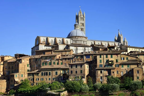 Centro Histórico Com Catedral Siena Cattedrale Santa Maria Assunta Siena — Fotografia de Stock