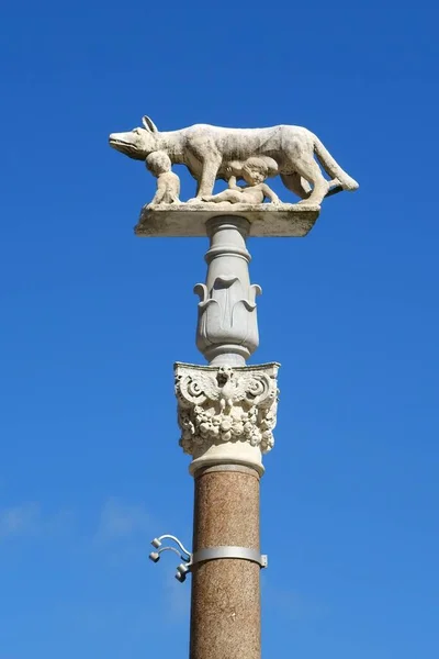 Nőstény Farkas Oszlopa Romulusszal Remusszal Sienai Duomo Előtt Cattedrale Santa — Stock Fotó