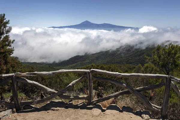 View Garajonay Bosque Del Cedro Passat Clouds Mount Teide Tenerife — Stock Photo, Image