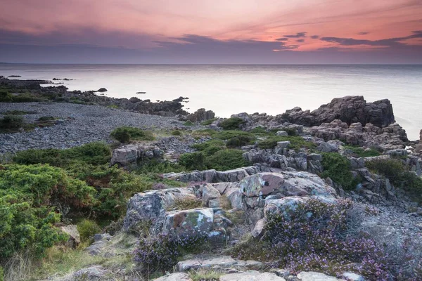 Живописный Вид Побережье Ховс Халлар Заповедник Швеция Европа — стоковое фото