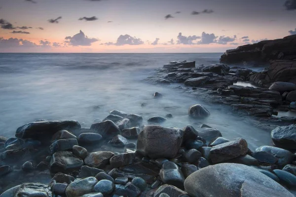 Evening mood, Hovs Hallar coastline, nature reserve, Bjrehalvn Peninsula, Bstad, Scania, Sweden, Europe