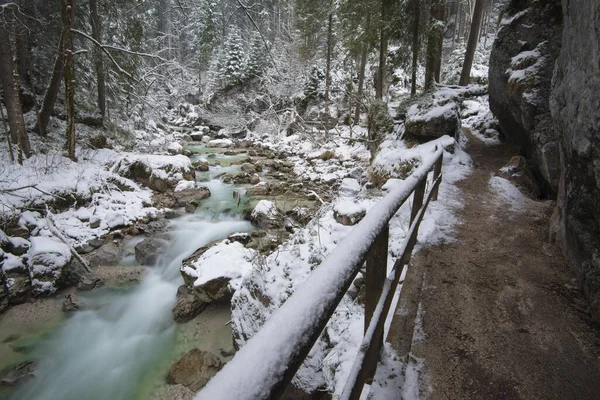 Inverno Ramsauer Ache Floresta Zauberwald Parque Nacional Berchtesgaden Ramsau Perto — Fotografia de Stock