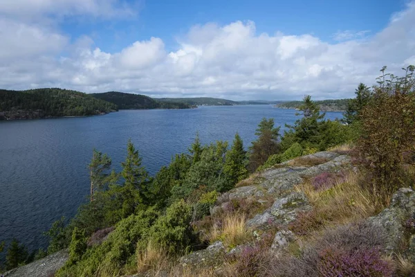 Vacker Utsikt Över Hovs Hallar Kust Naturreservat Sverige Europa — Stockfoto