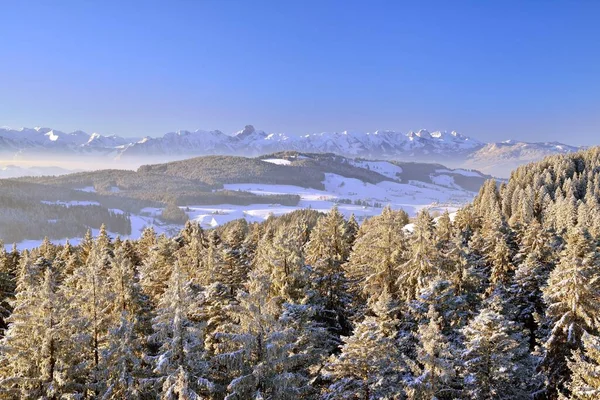 Widok Chuderhsi Pokryte Śniegiem Jodły Regionie Emmental Tyłu Stockhorn Range — Zdjęcie stockowe