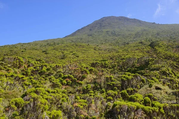 Mount Pico Highlands Region Island Pico Azores Portugal Europe — Stock Photo, Image