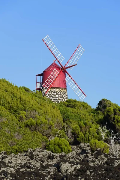 Windmill Joo Pico Island Azores ポルトガル ヨーロッパ — ストック写真