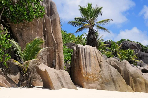 Vista Panorâmica Baía Baie Ternay Ilha Mah Seychelles África — Fotografia de Stock