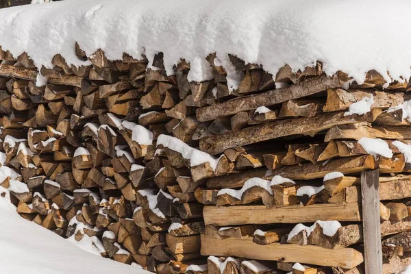 Куча Дерева Снегом Тироль Австрия Европа — стоковое фото