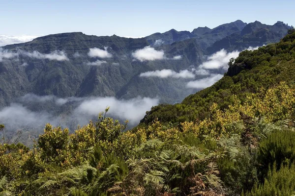 View Mountains Parque Natural Madeira Madeira Portugal Europe — Stock Photo, Image