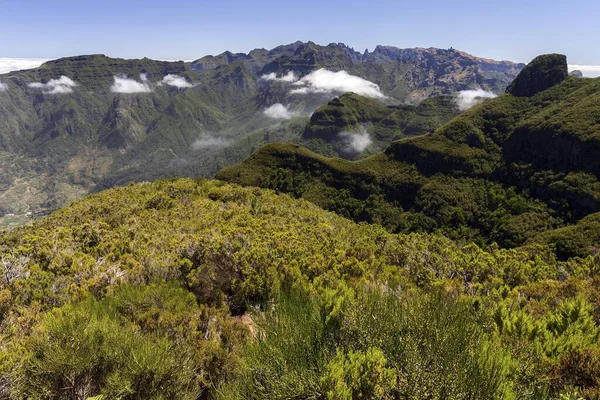 Utsikt Över Bergen Parque Natural Madeira Madeira Portugal Europa — Stockfoto